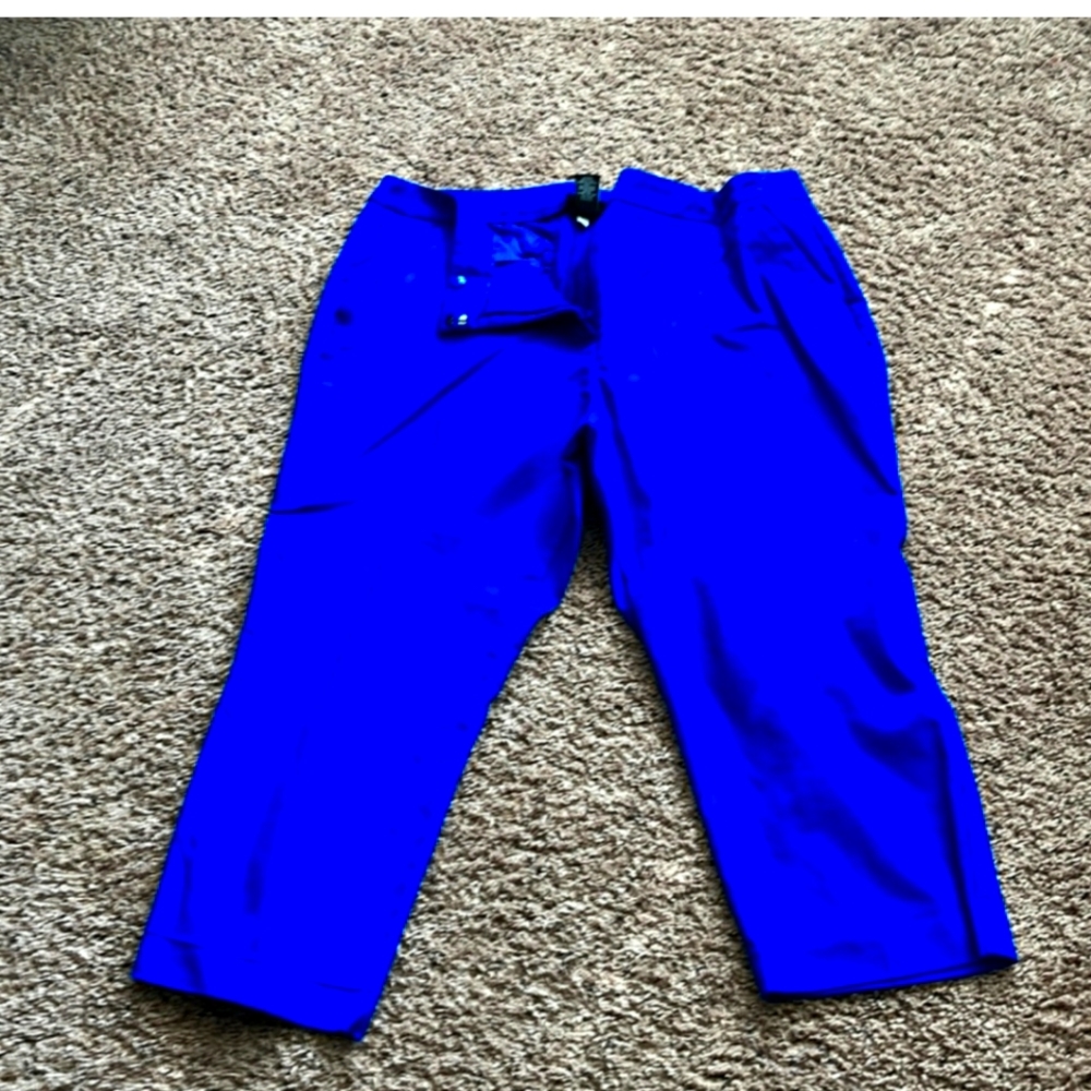 Lane Bryant Electric Blue Cropped Pants